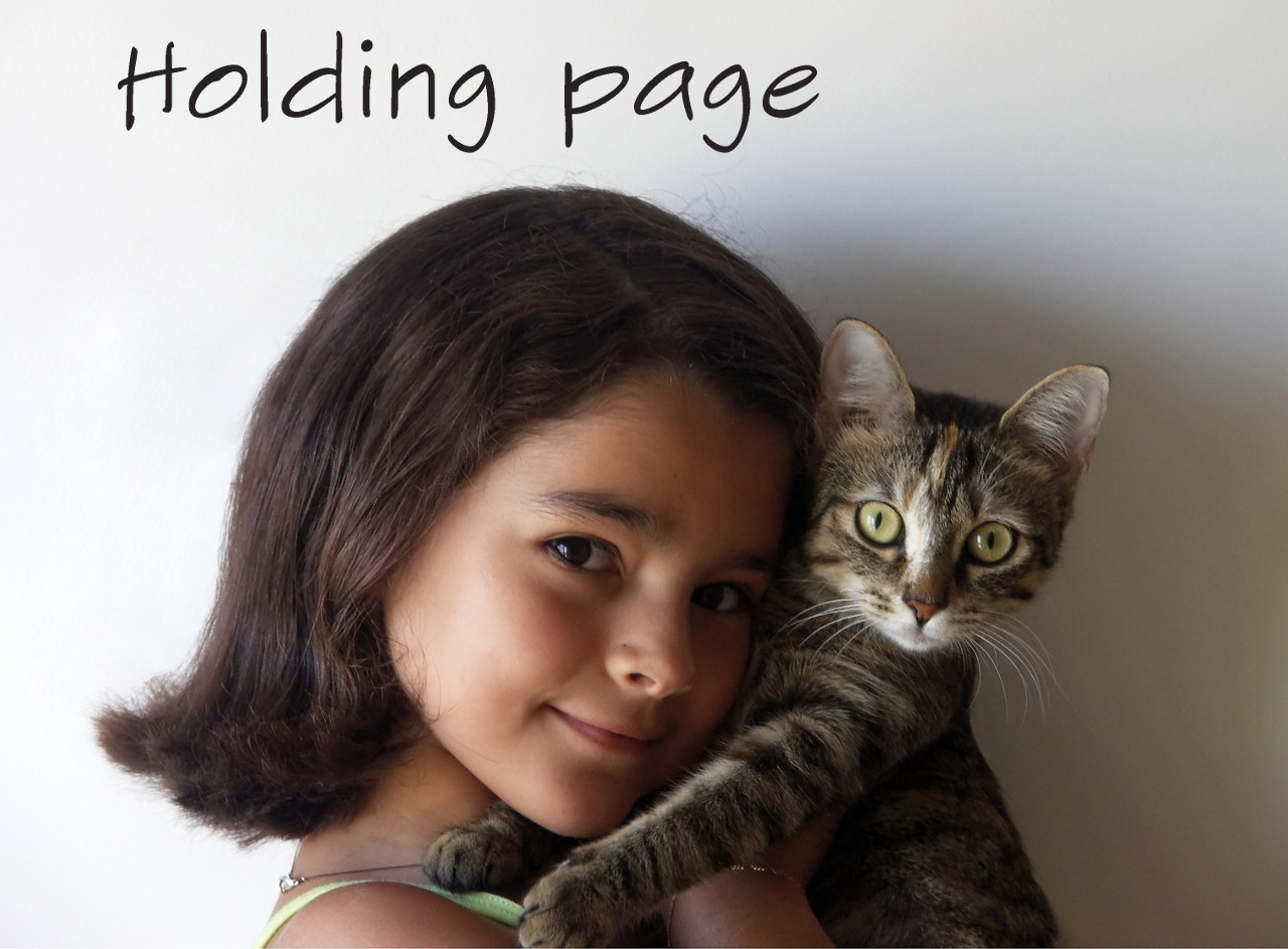 Holding Page